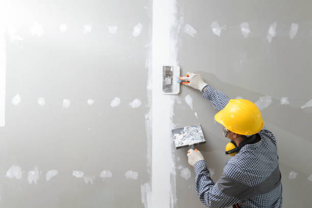 Best Biohazard Mold Removal  in West Belmar, NJ