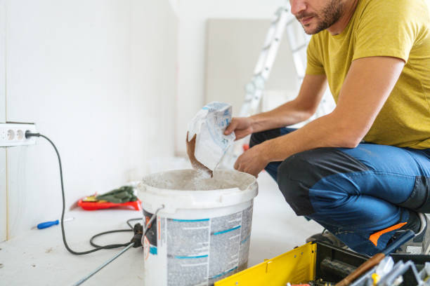 Best Asbestos and Lead Testing During Mold Inspection  in West Belmar, NJ